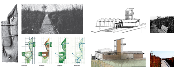 Graduate Portfolio: portfolio